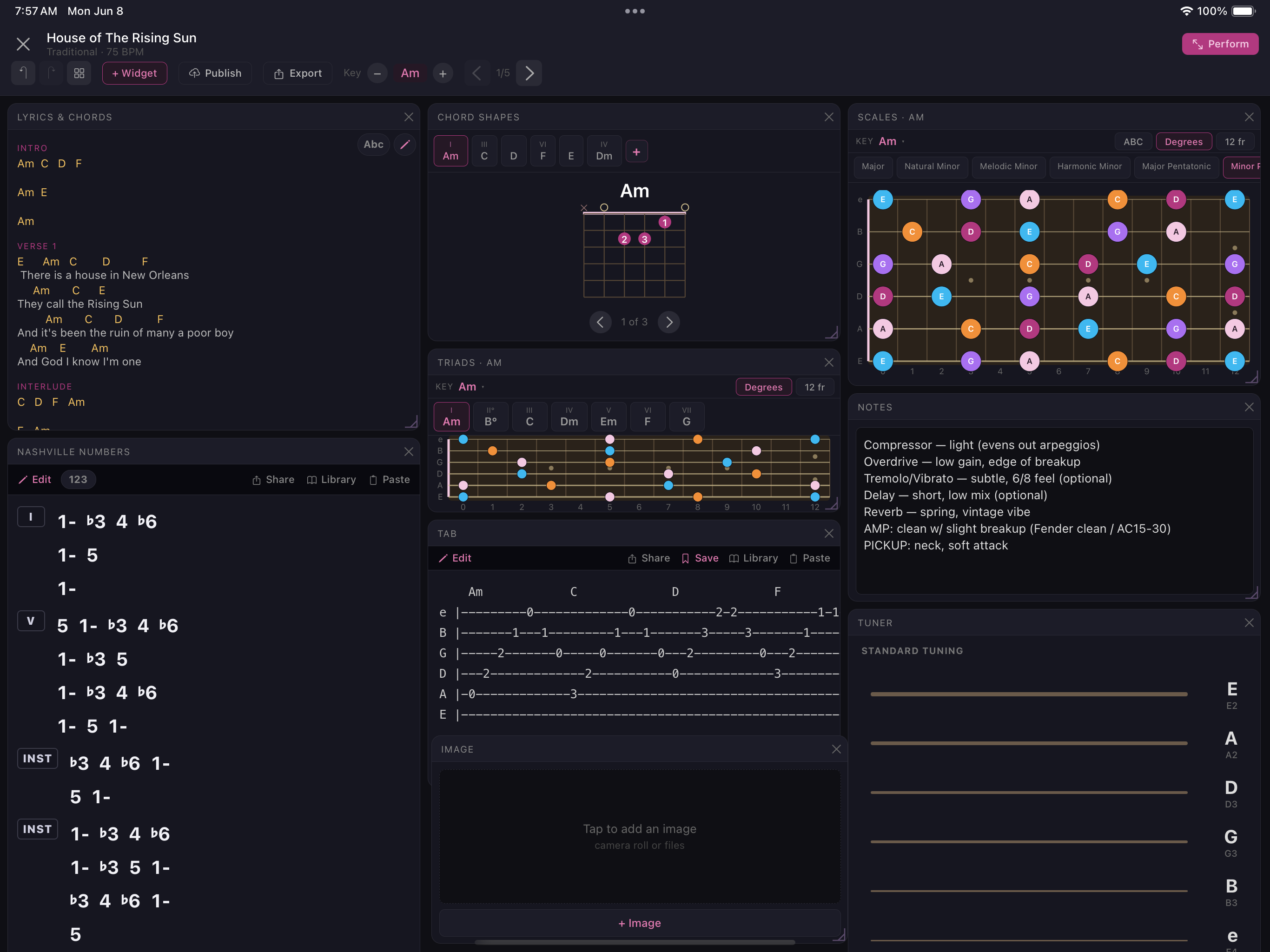 SetMate gig view showing lyrics, chord shapes, scales, triads, and image widgets