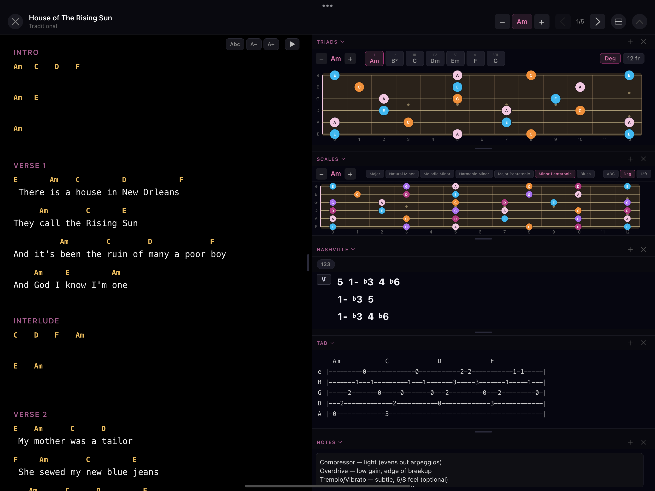 SetMate performance mode with lyrics beside a guitar tools side panel
