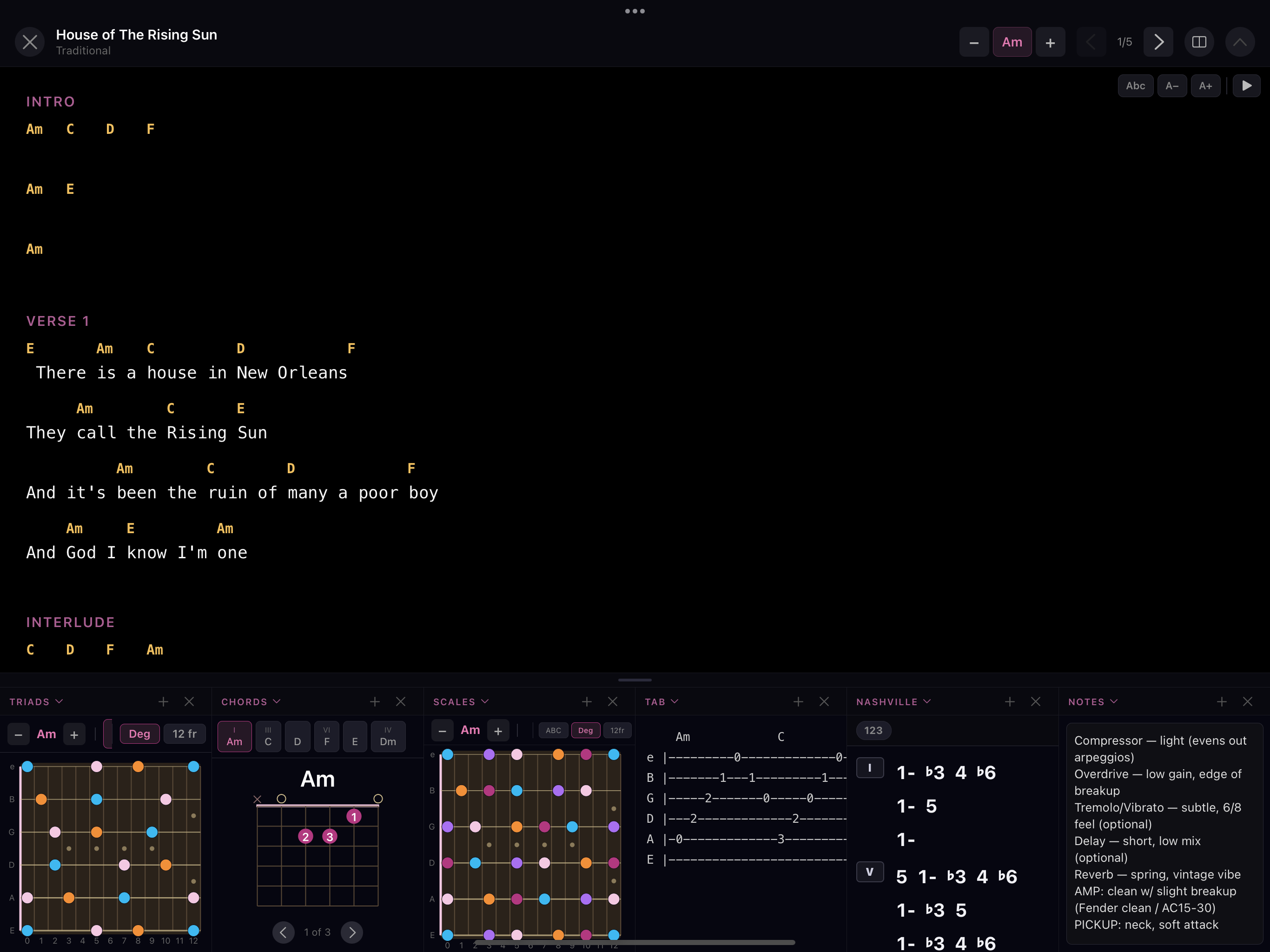 SetMate performance mode with lyrics above a row of guitar tool widgets