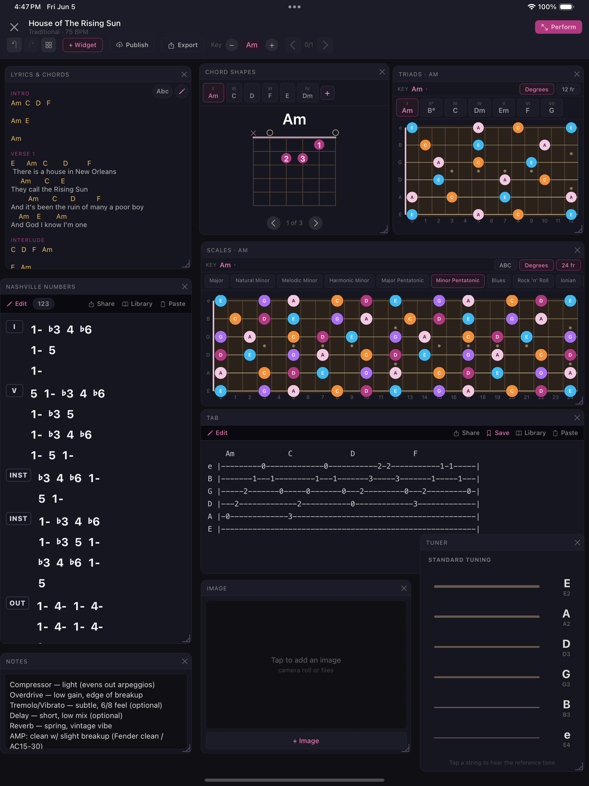SetMate gig view with chord shapes, scales, triads, notes, and image widgets